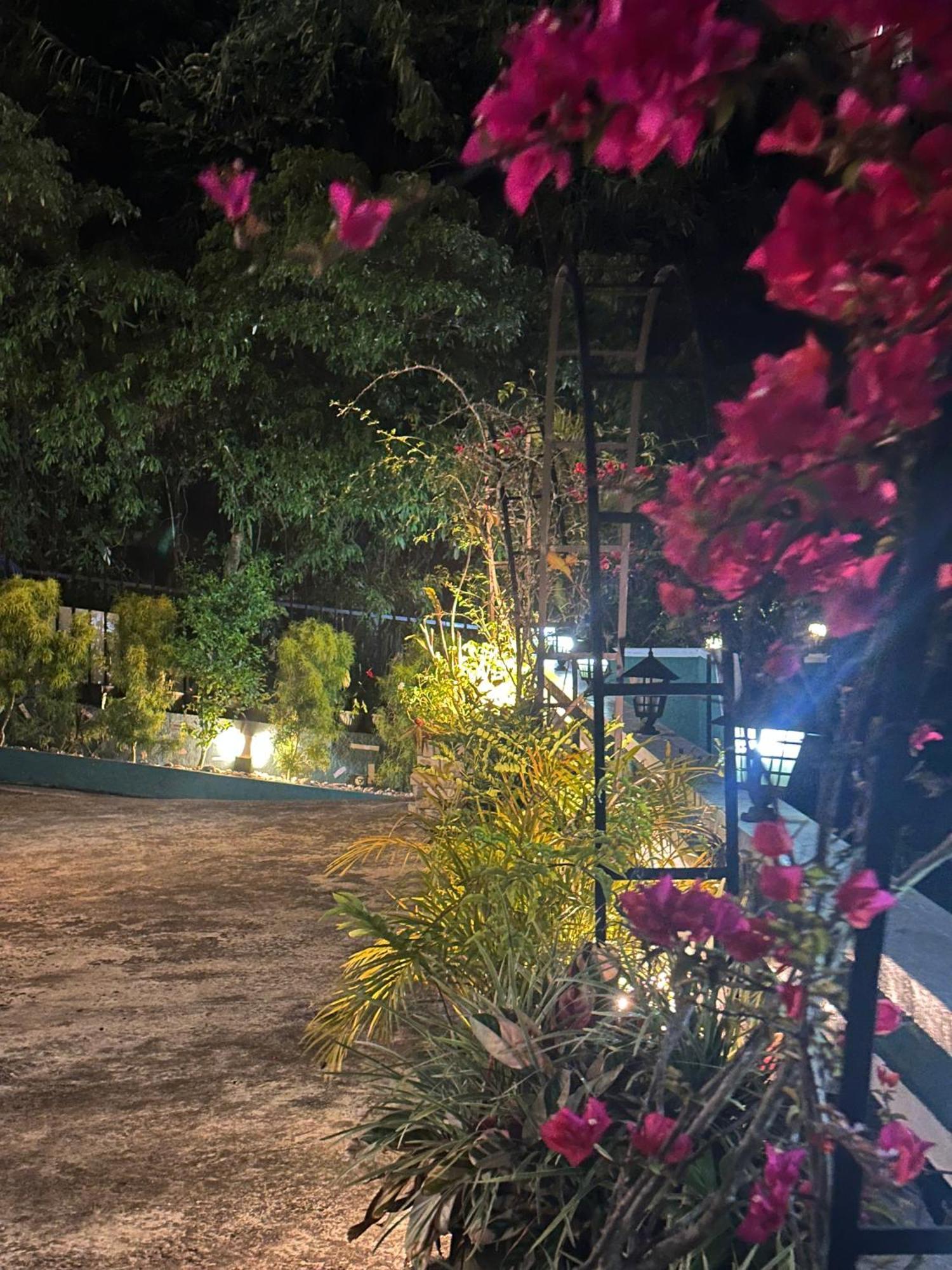 Abc Guest Inn & Restaurant Haputale Exteriér fotografie